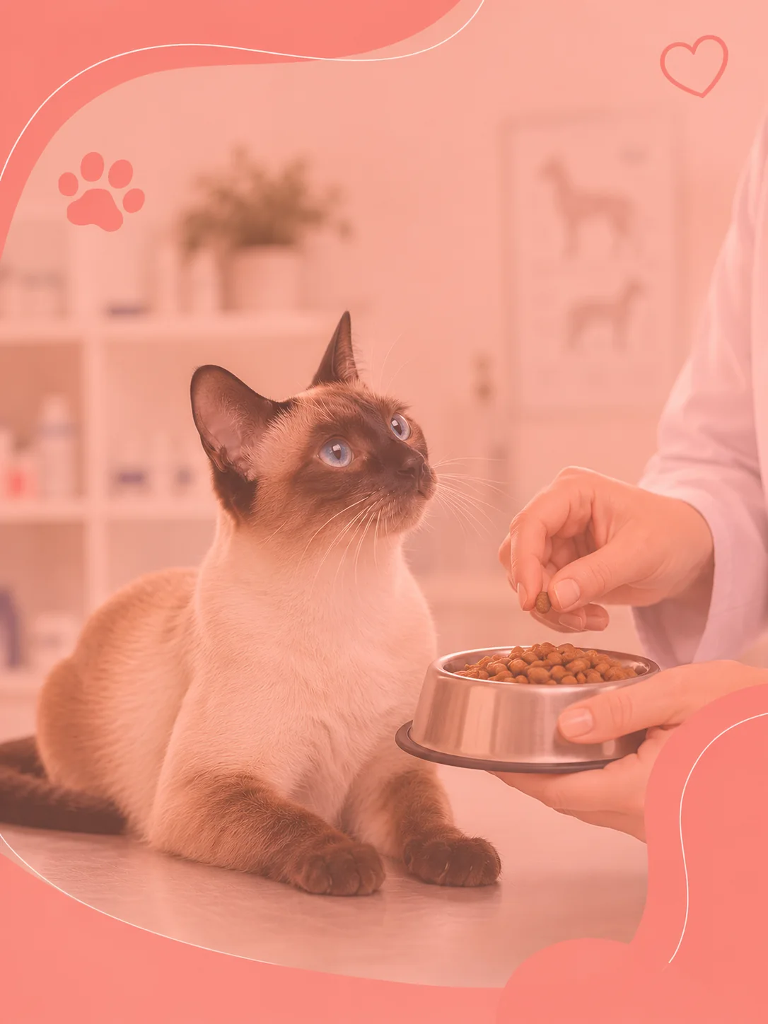 Nutrição veterinária em Cubatão para alimentação adequada de pets